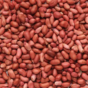 Peanuts Redskin Raw