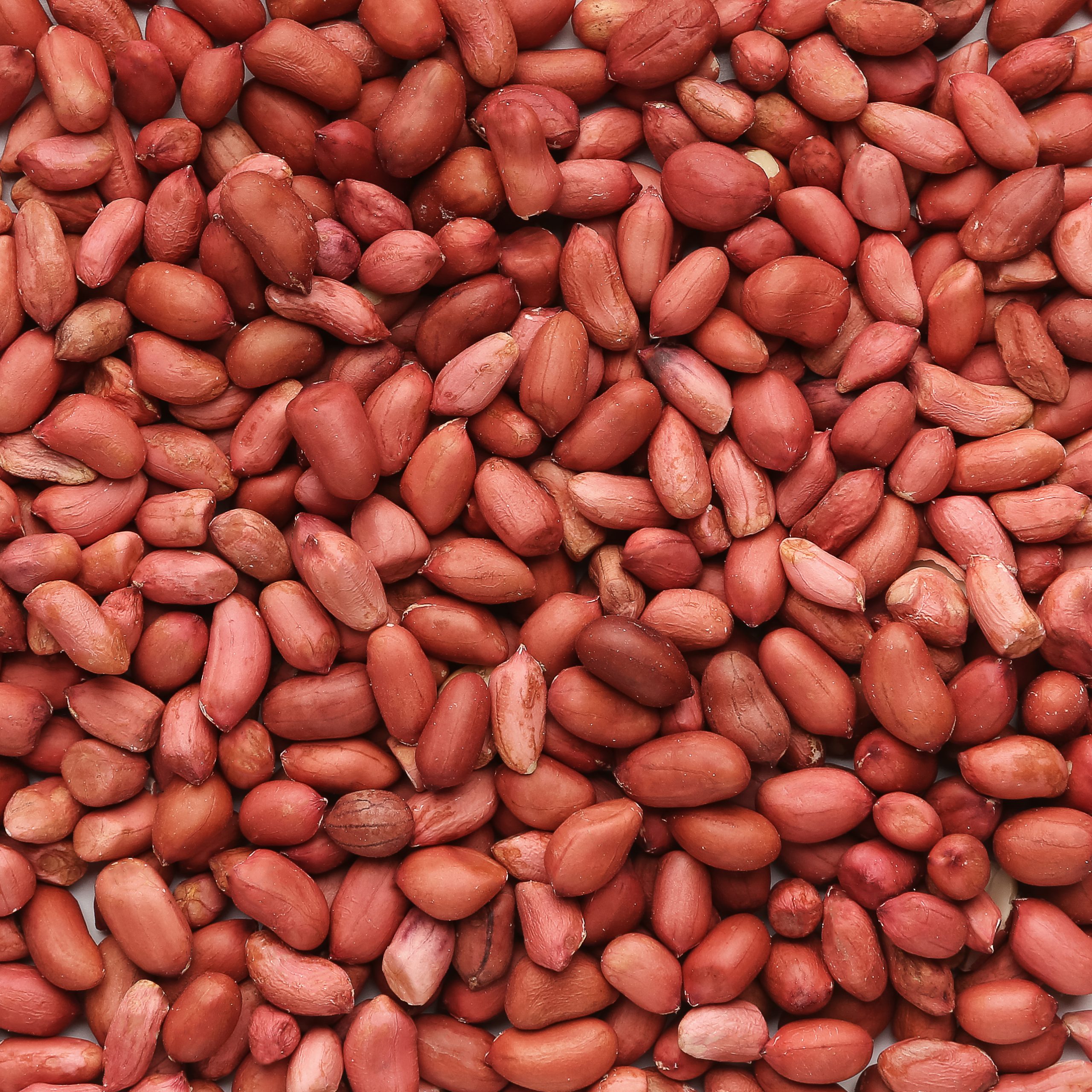 Peanuts Redskin Raw